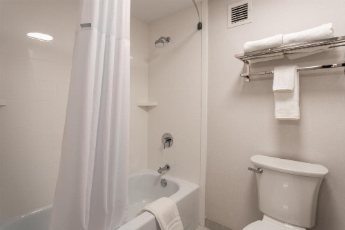 Comfort Inn & Suites Buffalo Airport image 8